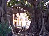 Palermo - Villa Trabia