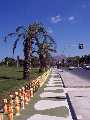 Palermo - Villa a mare, Foro Italico
