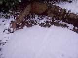 Un angolo innevato