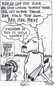 Smarter animals (2)