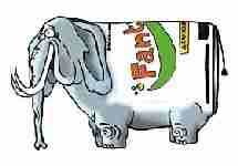Elefante + Fanta