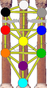 L'Albero della Vita
