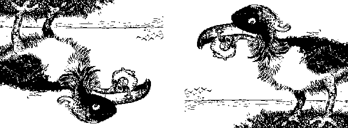 Pescatore e grosso pesce, o uccello gigante?