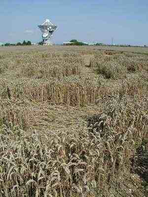 Il radiotelescopio di Chibolton