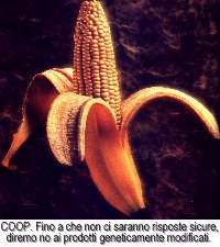 Clicca per ingrandire.