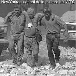 ..polvere sul capo
