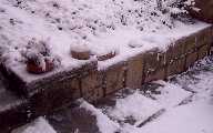 Natura morta.. o meglio: addormentata, sotto la neve