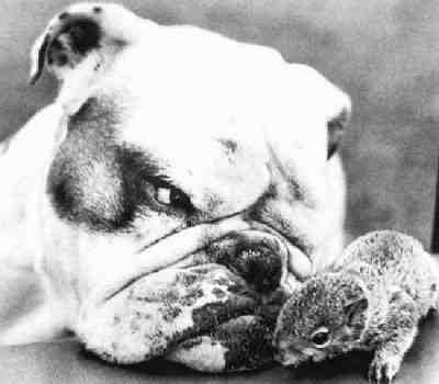 Per immagini pi� grandi, scarica la Presentazione Powerpoint.