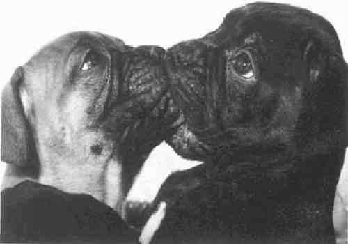 Per immagini pi� grandi, scarica la Presentazione Powerpoint.