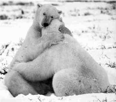 Per immagini pi� grandi, scarica la Presentazione Powerpoint.