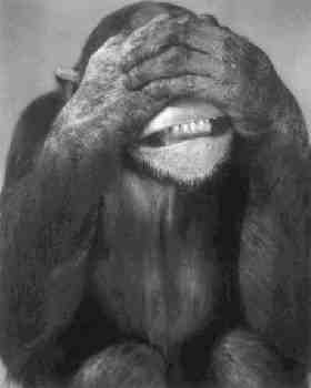 Per immagini pi� grandi, scarica la Presentazione Powerpoint.