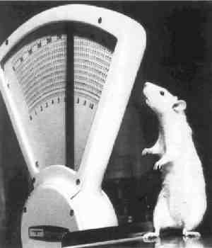 Per immagini pi� grandi, scarica la Presentazione Powerpoint.