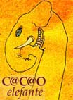 CACAO - solo buone notizie