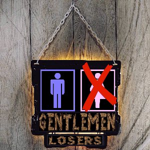 Novels, tales, poems, music, art-work etc.