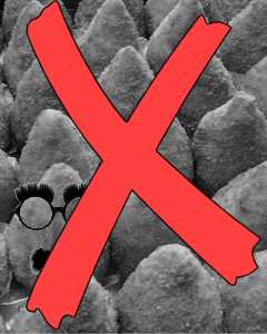 Riso giallo (Groucho-Marx style calembours)