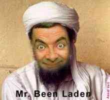 Vai alla pagina delle vignette su Osama Bin Laden & co.