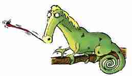 Cavallo + camaleonte