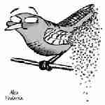 Scricciolo che si sbriciola