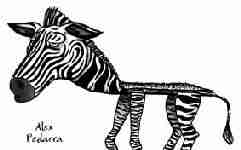 Zebra + zerbino