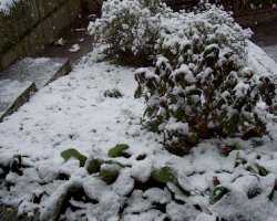 Vai alla pagina dei film�ti.