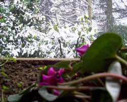 Vai alla pagina dei film�ti.