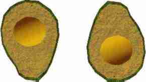 Uovo "all'occhio di bue", o mango?