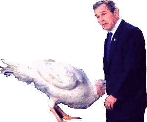 Who's the real turkey here?