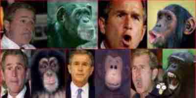 Bush non discende dalla scimmia: lo è.